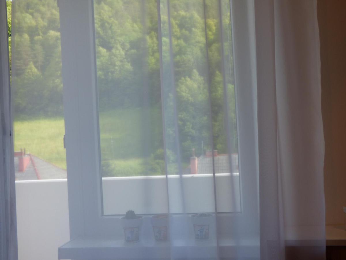 Apartman Dolinky Vyhne Bagian luar foto